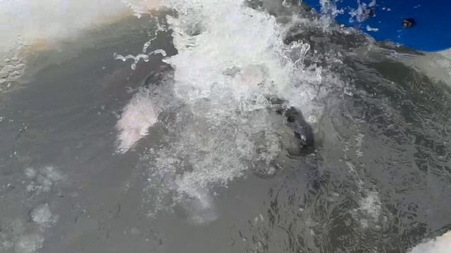 21 февраля запуск форели смотреть онлайн