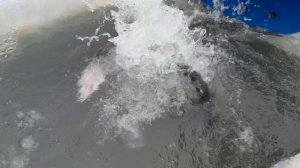 21 февраля запуск форели