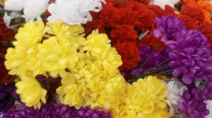 кофиек . и солнышко