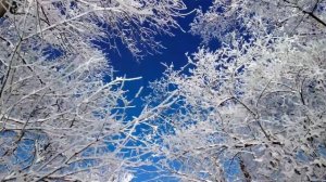 Зима нас разлучила