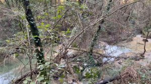 🇭🇷🇭🇷Водопады🇭🇷🇭🇷Лабин🇭🇷🇭🇷Хорватия🇭🇷🇭🇷