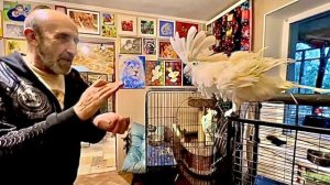 Пока Люська прячется под диваном, Жорик снова ВЫХОДИТ на СЦЕНУ, танцует и ДЕЛАЕТ ПОКЛОН)((