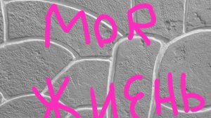 моя жизнь. 1 серия. 1 сезон.