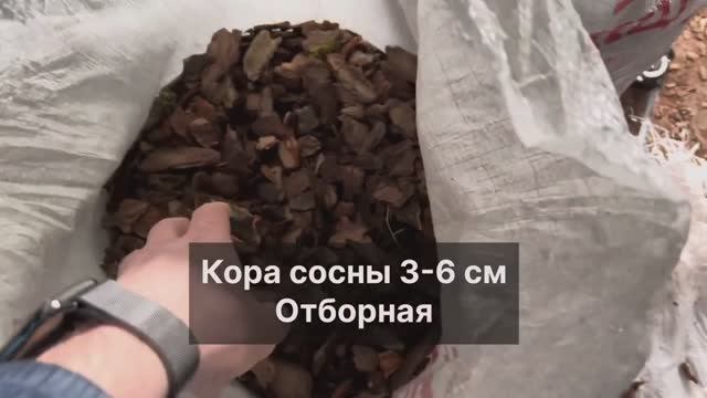Кора сосны 3-6 см Отборная. Обзор качества Баркинвуд
