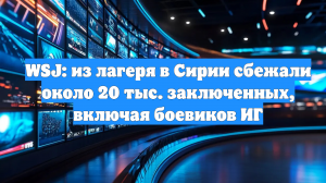 WSJ: из лагеря в Сирии сбежали около 20 тыс. заключенных, включая боевиков ИГ