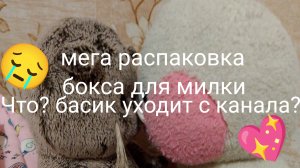 мега распаковка бокса для уточки Милки! в конце треш... басик уходит с канала...