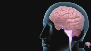 ... Что такое Сотрясение мозга....