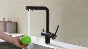 Смеситель для кухни с подключением к фильтру Paulmark Serpentine Se213222-418