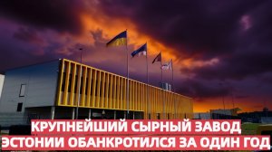 Шок в Балтике Эстонский сырный гигант рухнул как карточный домик