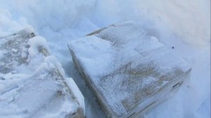 облет пчел в феврале, обновление , сироп берут, дал еще канди , 21.02.2026