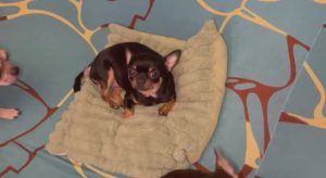 Доброй всем ночи и самых добрых снов.