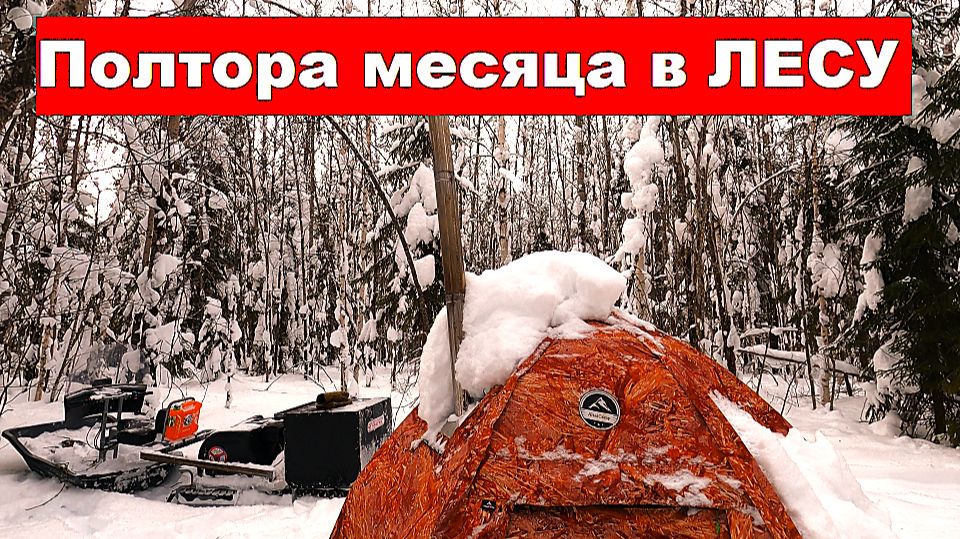 Оставленная в лесу палатка простояла полтора месяца. Рыбалка на таёжной реке. Хариус на муху. смотреть онлайн
