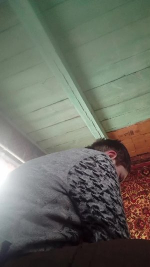 играем стрим. 🔴🔴🔴 войнушку в лесу