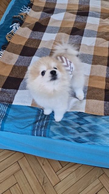 Фунтик на монтаже)))