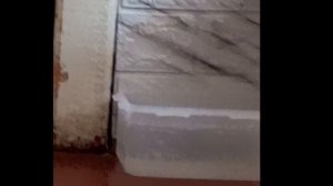 смешные моменты моих питомцев/домашние животные но смешной дом