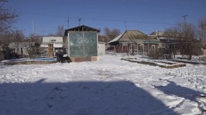 Кино, выгул Техасса.