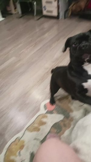 мой влог вечером