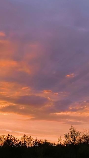 Наше второе лето в деревне как оно ощущается