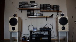 DSC_1309Акустические системы на динамиках ноэма 100 гдш 47-8.  Мария  Дайнес.