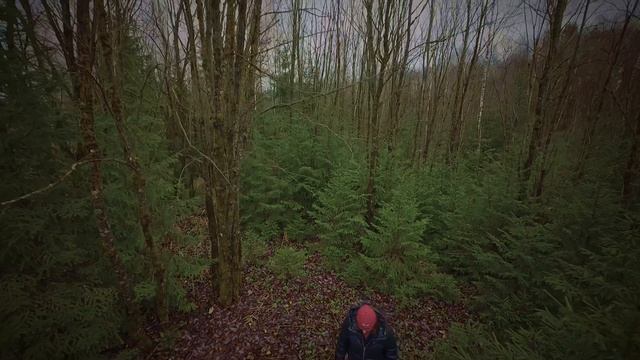 fpv смотреть онлайн