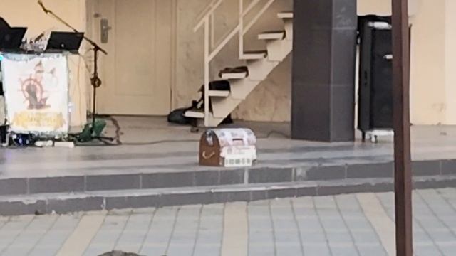 Анапа. Сегодня опять похолодало. Площадь у Родины. 21 февраля 2026. смотреть онлайн