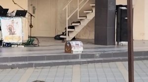 Анапа. Сегодня опять похолодало. Площадь у Родины. 21 февраля 2026.