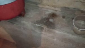 Бюджетный датчик потопа