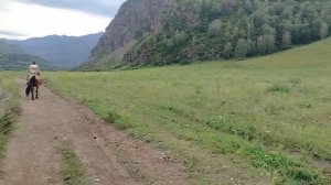 Конная прогулка "Романтика Алтая" .mp4