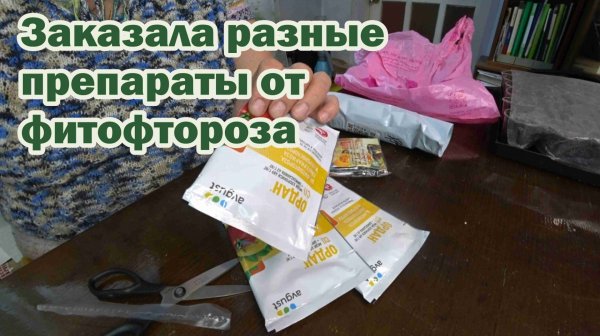 Обзор покупок с маркетплейсов: препараты от фитофтороза, семена тыквы и томатов, кроссовки, витамины