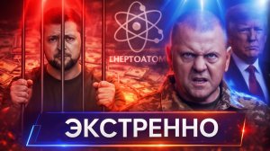 ⚡️ США объявили войну Зеленскому  Давление на ЕС и НАТО  Залужный слил Зеленского