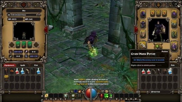 Torchlight Прохождение №30 Detached Estheria