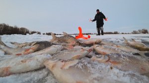 Закинули Эхолот и Подводную Камеру в Глубокое Место для Рыбалки в Сибири. Тайные Места. Рыбалка 2026