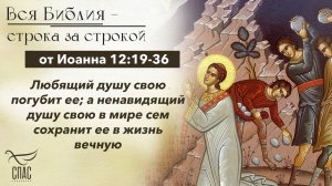 Евангелие от Иоанна 12:19-36 / Вся Библия строка за строкой