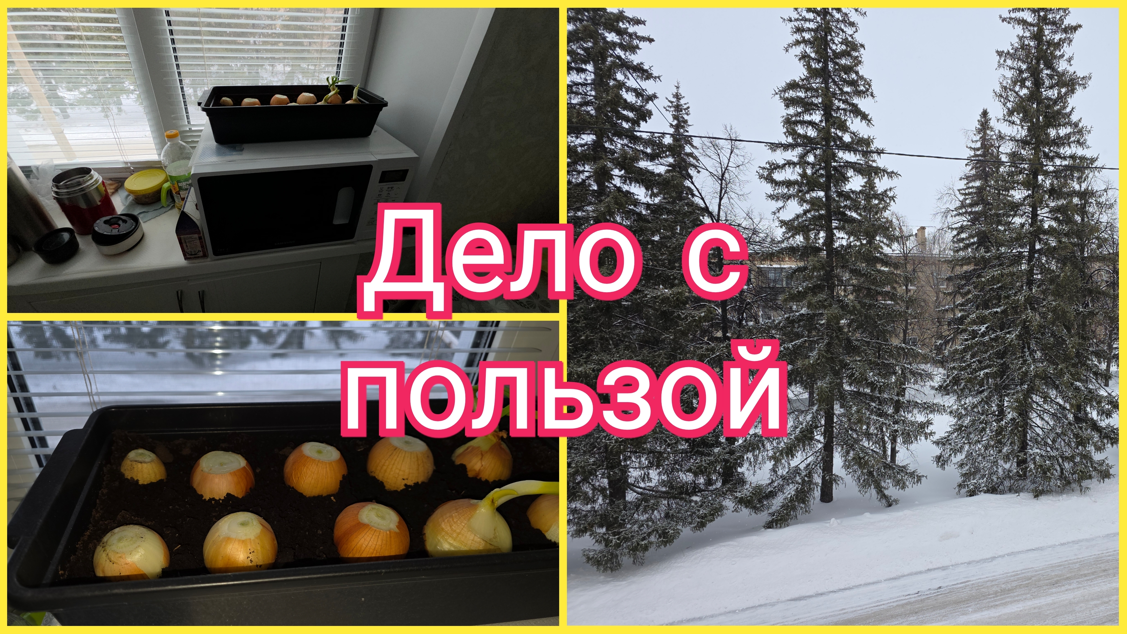 РЕШИЛА ПОСАДИТЬ ЗЕЛЕНЬ. КАК РАЗ К ПРАЗДНИКУ БУДЕТ СВОЙ ЛУК смотреть онлайн