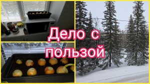 РЕШИЛА ПОСАДИТЬ ЗЕЛЕНЬ. КАК РАЗ К ПРАЗДНИКУ БУДЕТ СВОЙ ЛУК