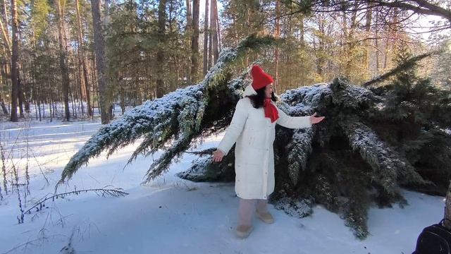 Сказочная красота в Красиво 21.02.26. смотреть онлайн