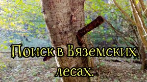 Поиск в Вяземских лесах.