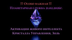Планетарная служба 21.02.26 Активация живого интеллекта Кристалла Управления Золь