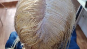 Блонд. Обесцвечивание корней+ тонирование Капус 9/28.