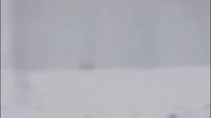 ВИА Романтики.Белокрылые чайки.