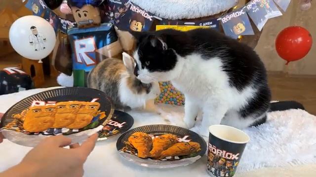 Распаковка посылок смотреть онлайн