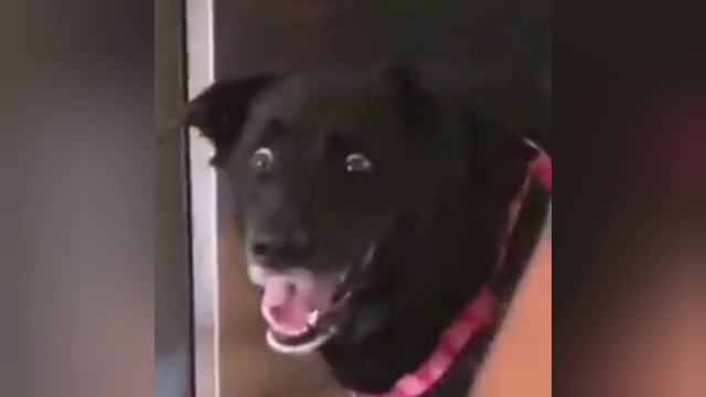 кринж смотреть онлайн