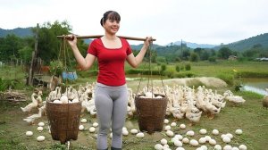 Слишком много утиных яиц! Собираю и несу на рынок продавать. Готовлю утиные яйца с помидорами. Фуонг