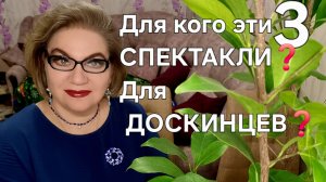 3 часть. Для кого эти спектакли❓️Для ДОСКИНЦЕВ❓️