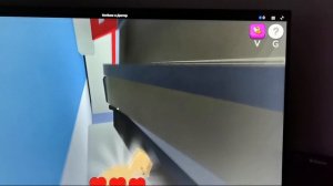 котенок с доктором