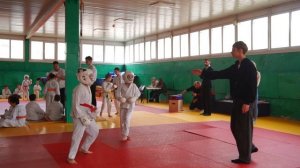 зимние Олимпийские игры Каратэ.золото не выйграл