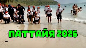 Прекрасный пляж и бесподобное теплое море 🌴 Выпустила черепашку в море