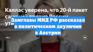 Замглавы МИД РФ рассказал о политическом двуличии в Австрии