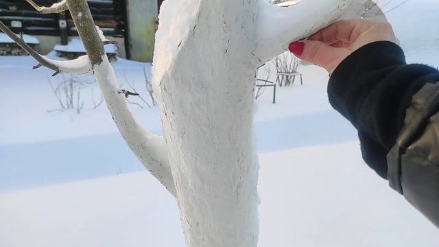 11-Моя новая дача..второй участок.. приехали зимой..05.12.21