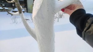 11-Моя новая дача..второй участок.. приехали зимой..05.12.21